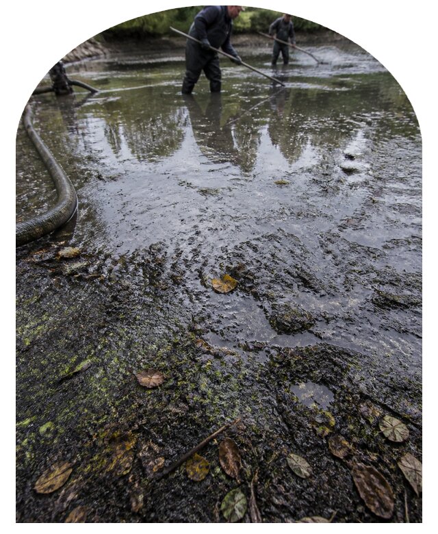 Очистка пруда в Торжке от ила мусора и водорослей с вывозом